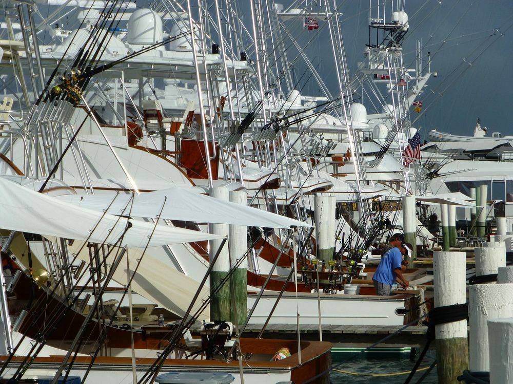 Click to See Next Image