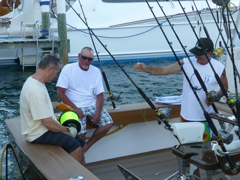 Click to See Next Image