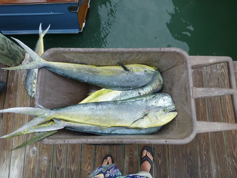 Click to See Next Image