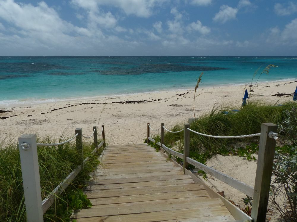 Click to See Next Image