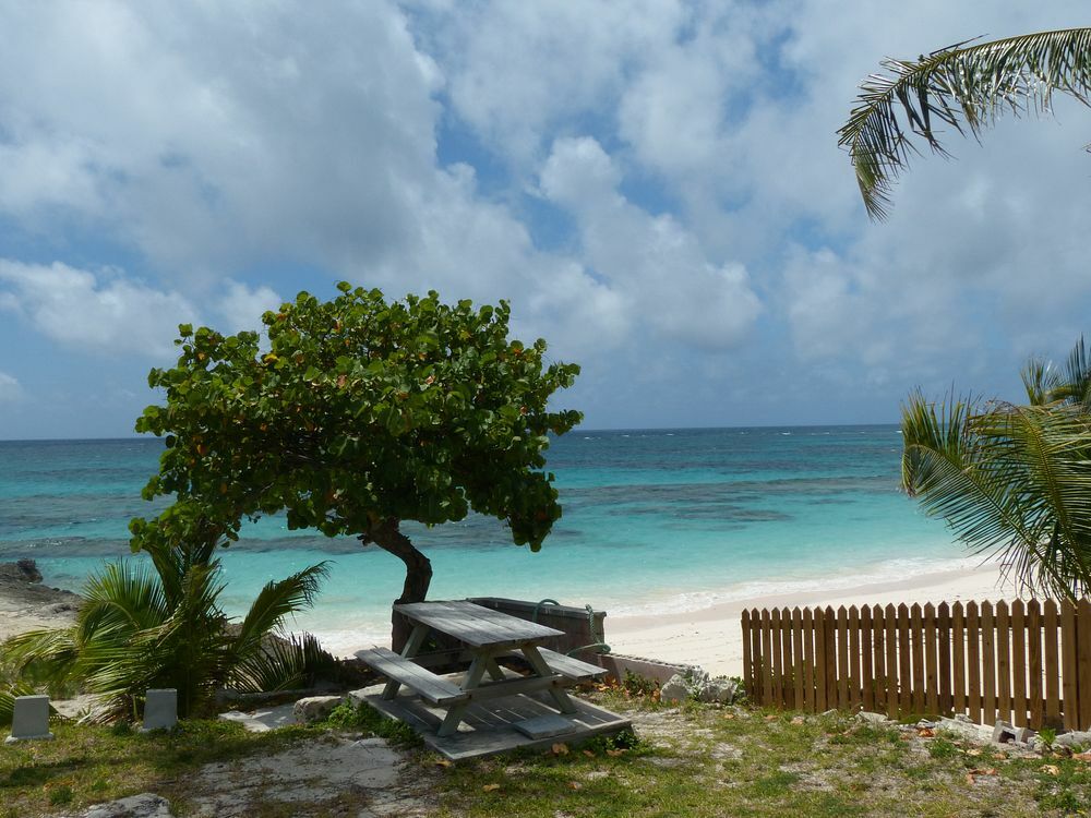 Click to See Next Image