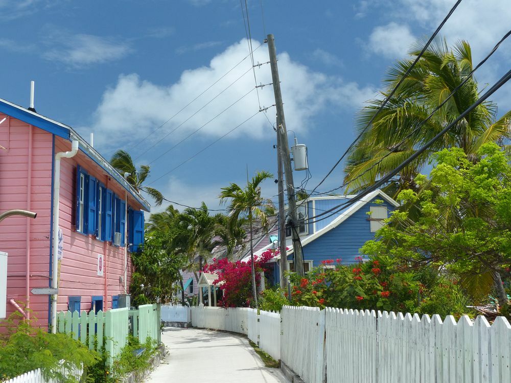 Click to See Next Image