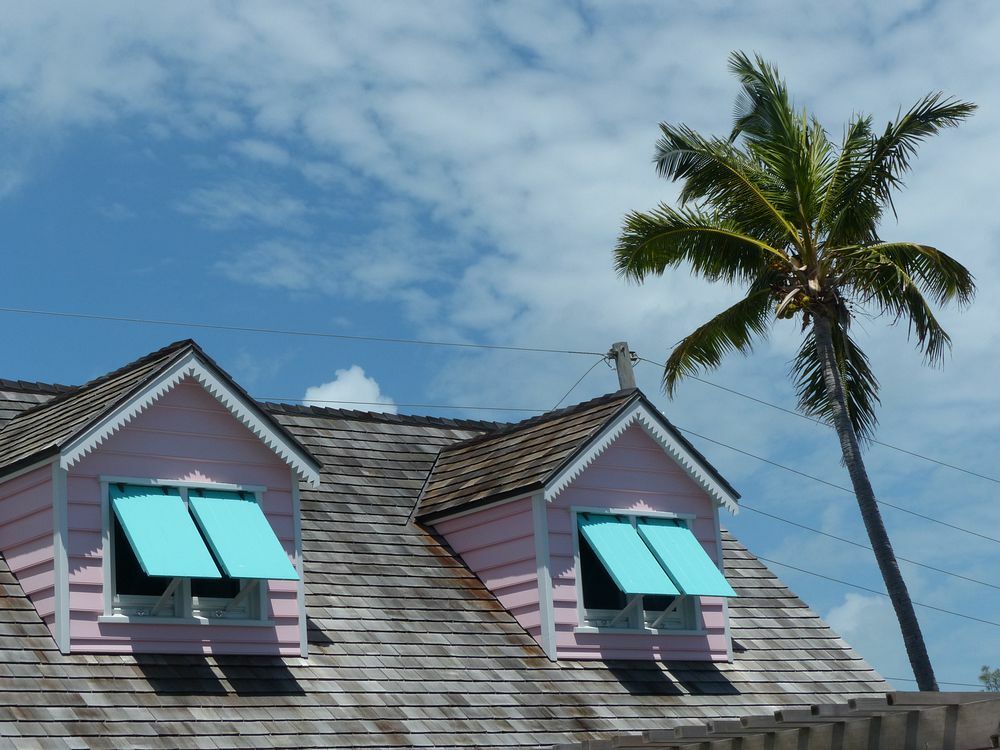 Click to See Next Image