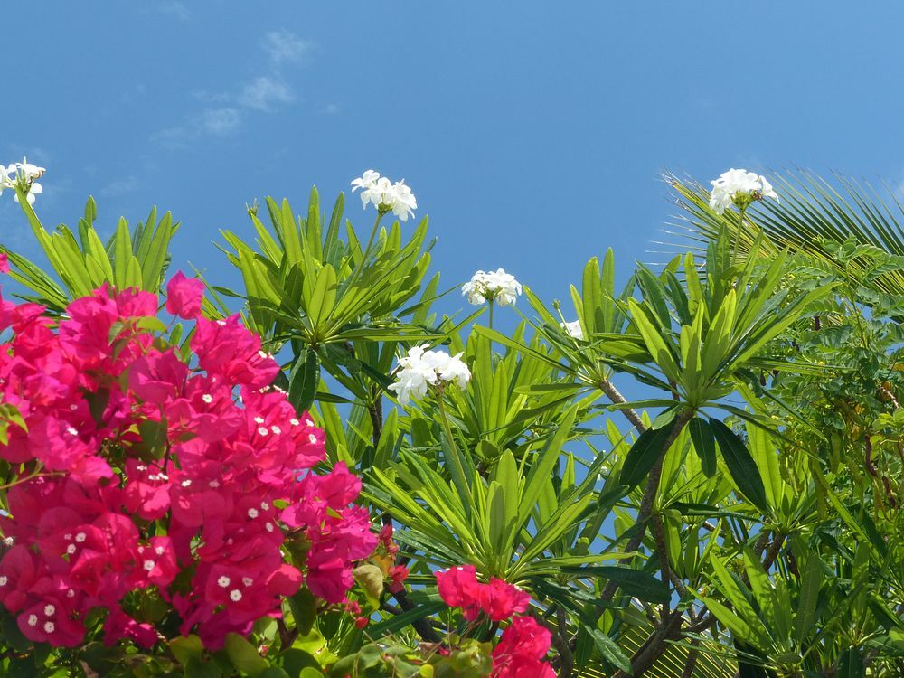 Click to See Next Image