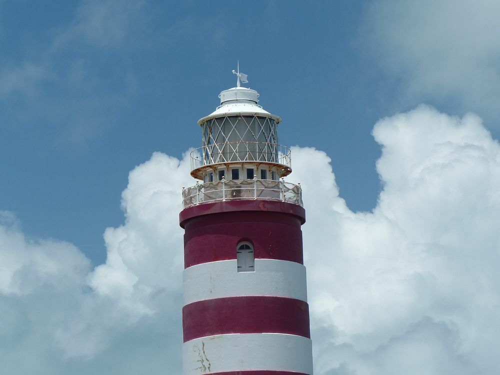 Click to See Next Image