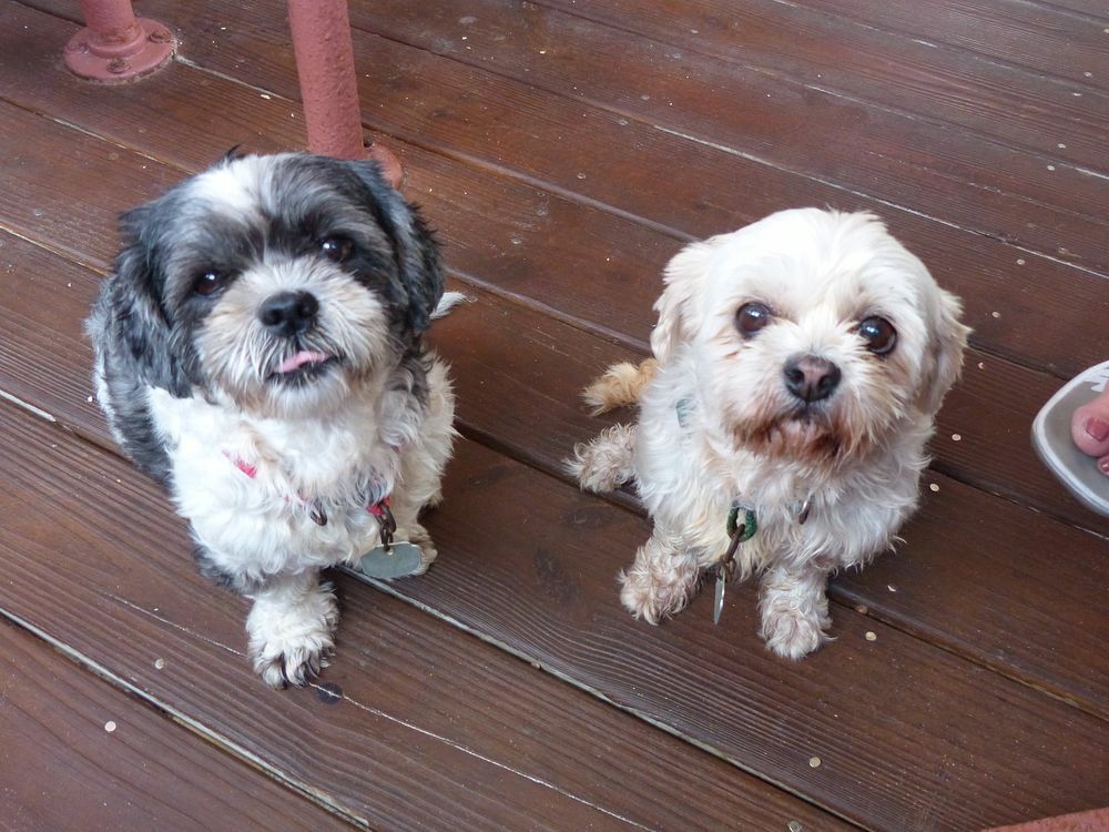 Click to See Next Image