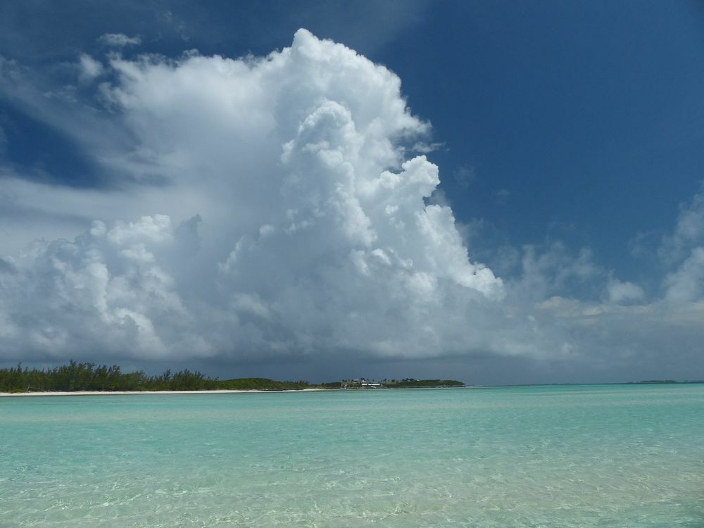 Click to See Next Image