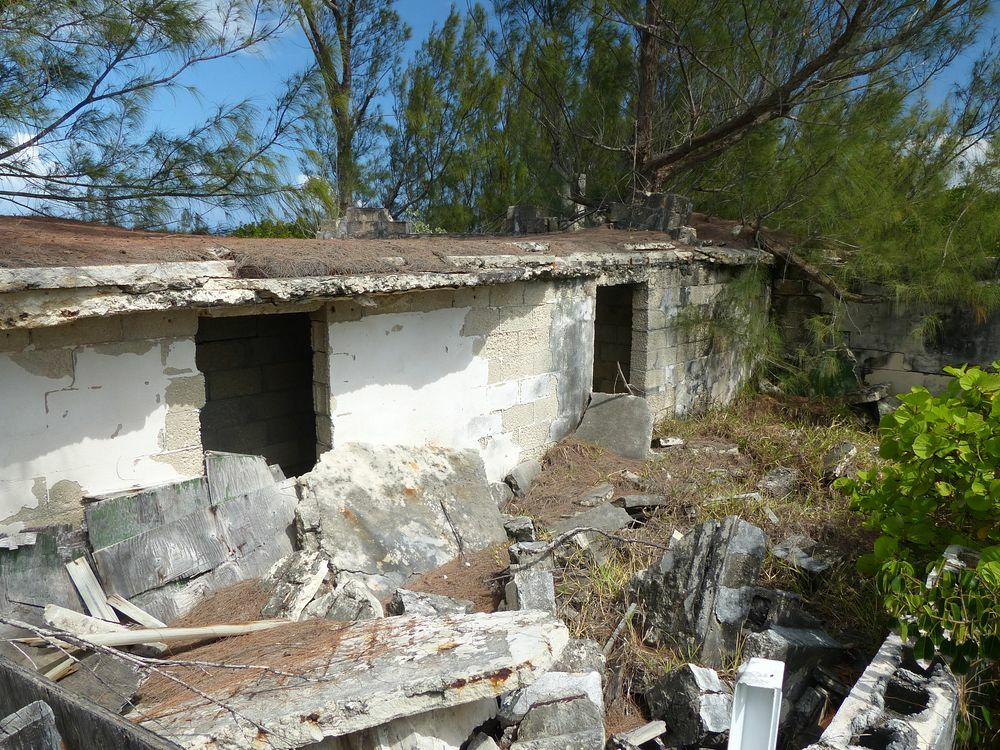 Click to See Next Image