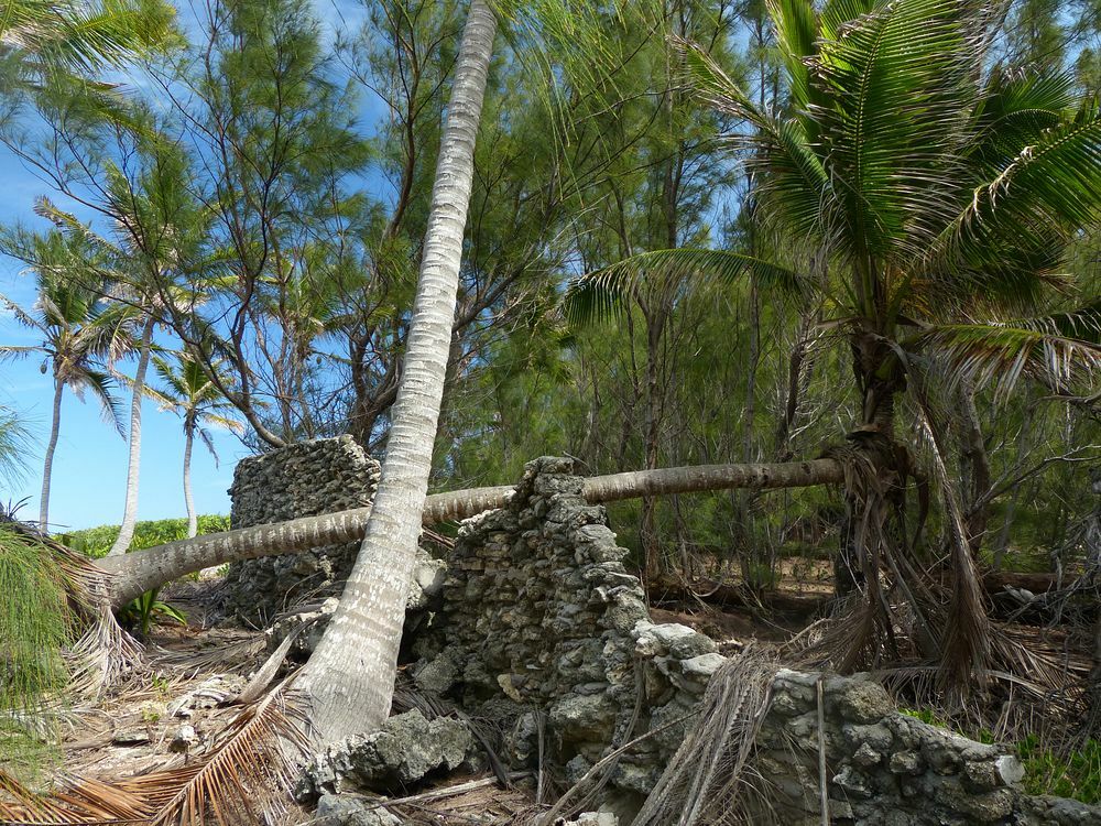 Click to See Next Image