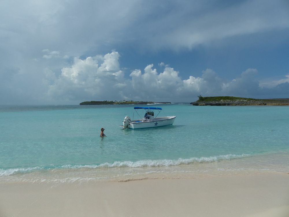 Click to See Next Image