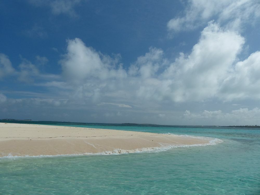 Click to See Next Image