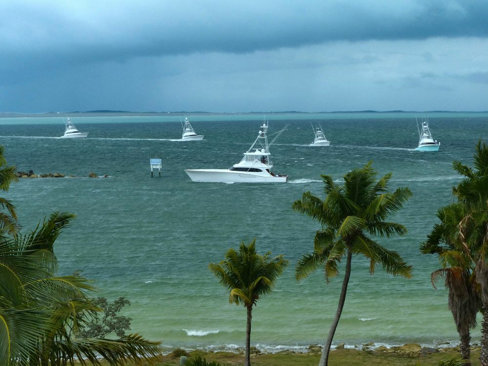 Click to See Next Image