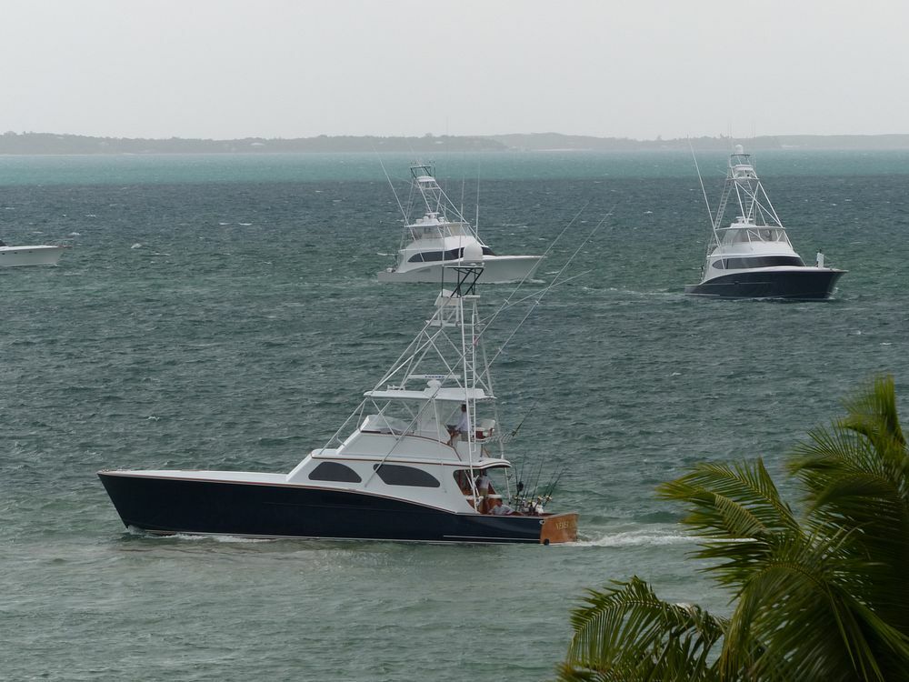 Click to See Next Image