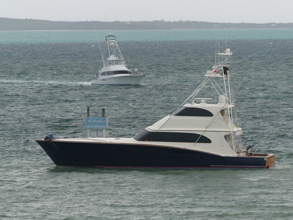 Click to See Next Image