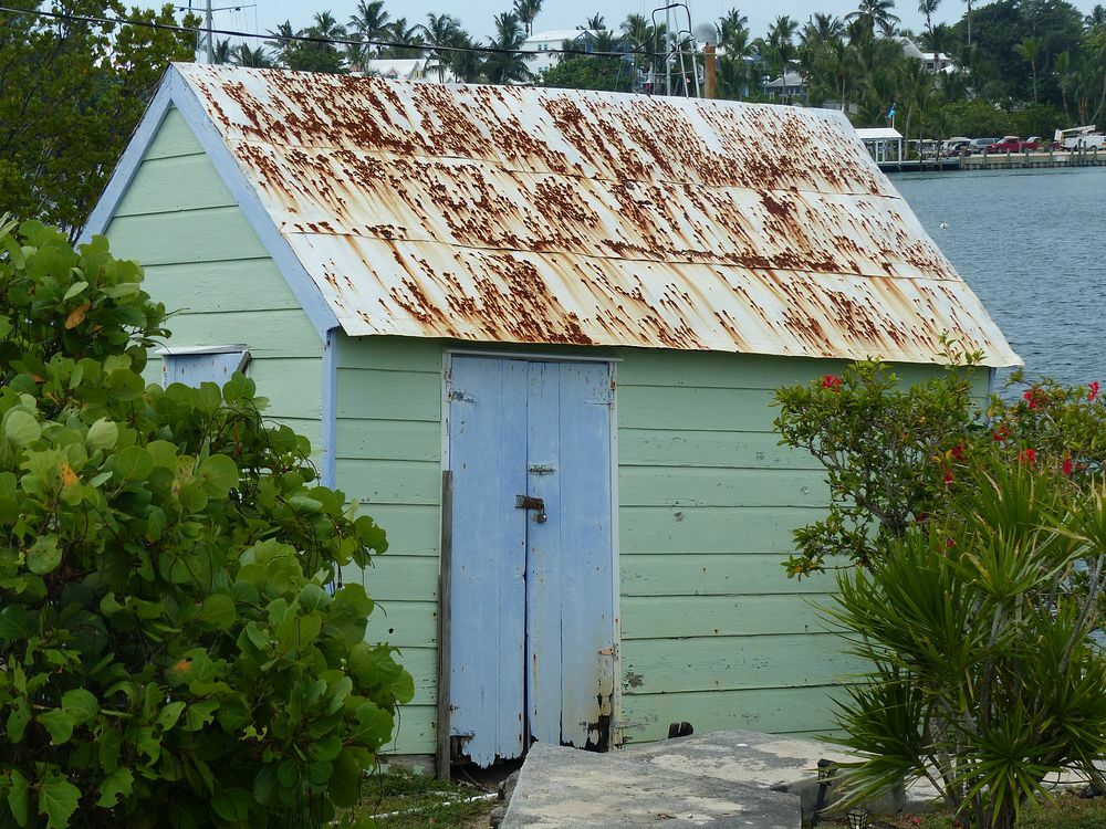 Click to See Next Image