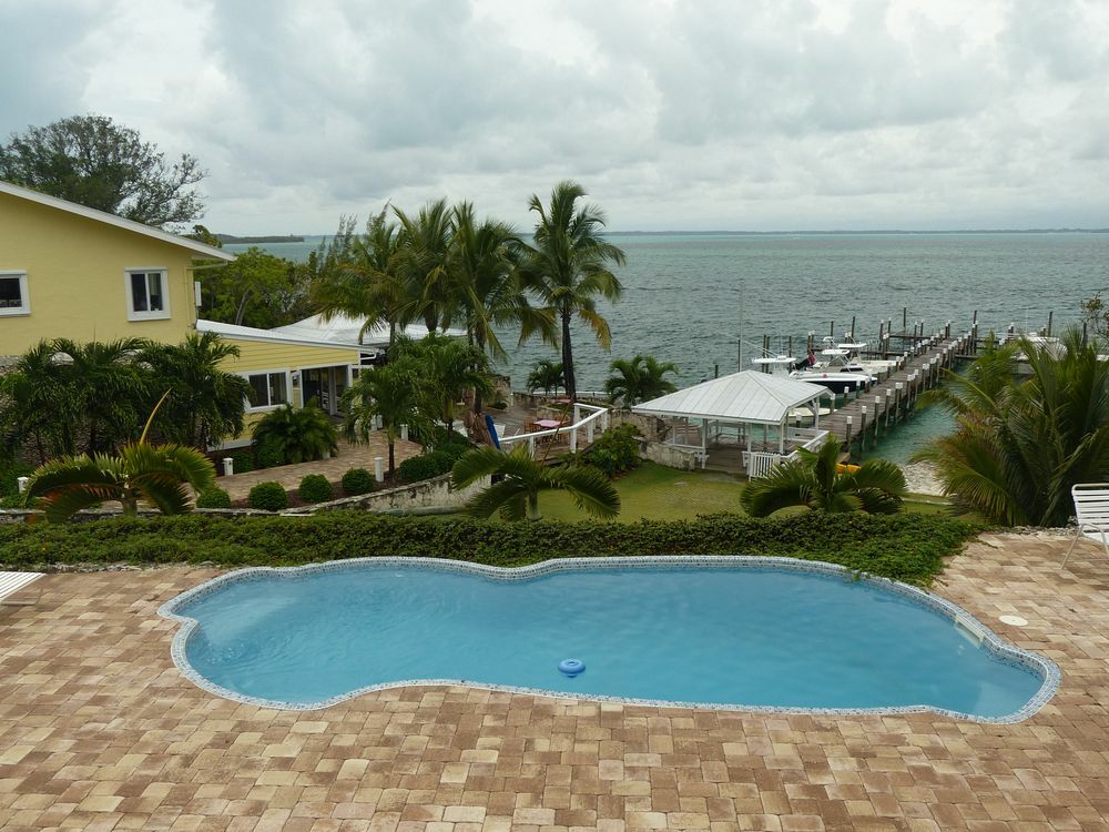 Click to See Next Image