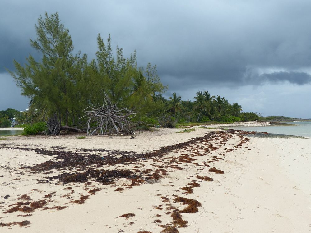 Click to See Next Image