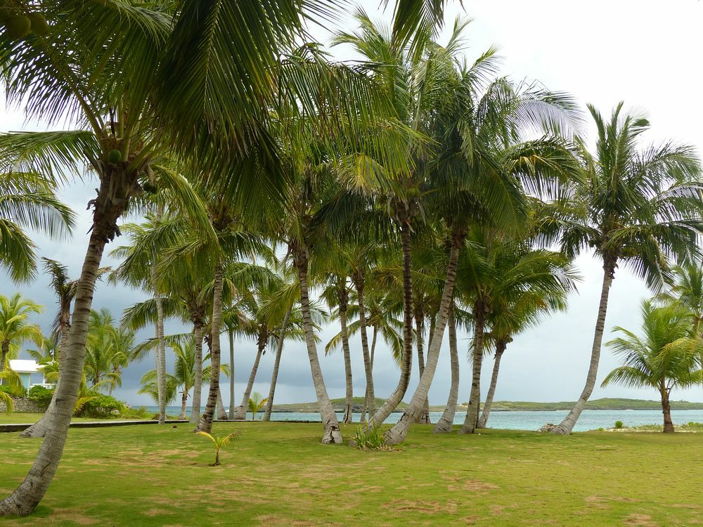 Click to See Next Image