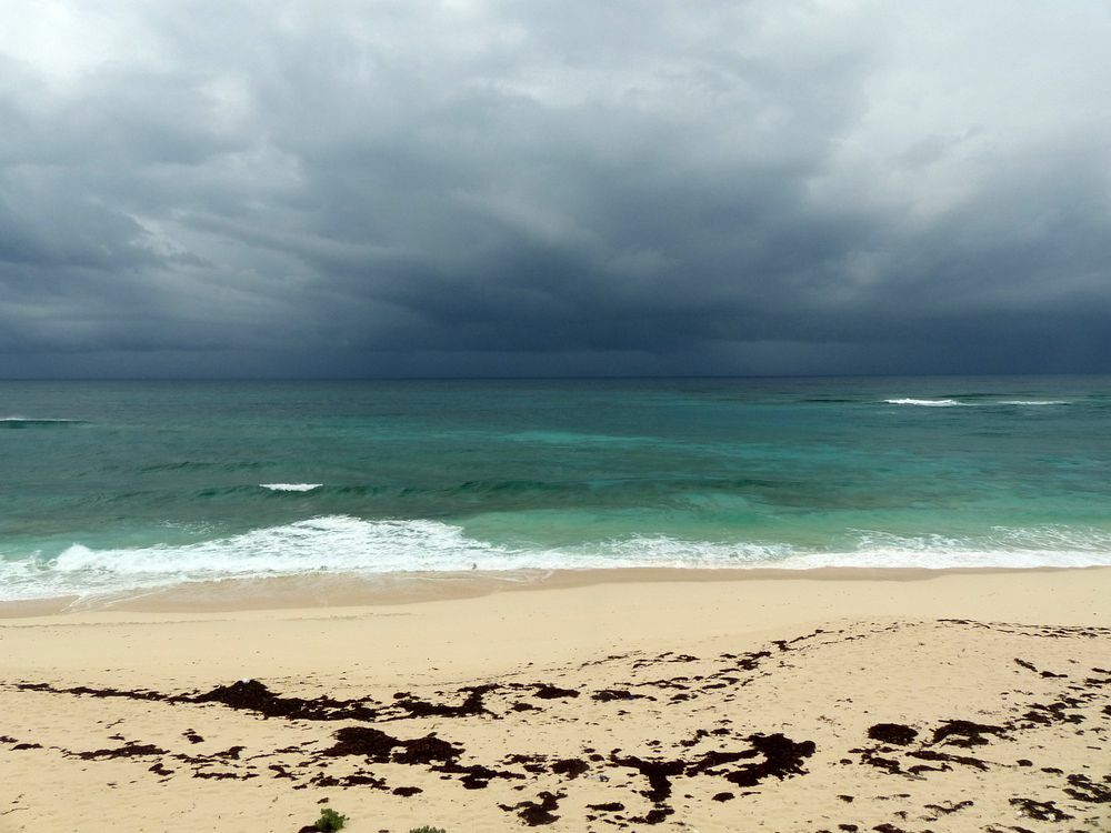 Click to See Next Image