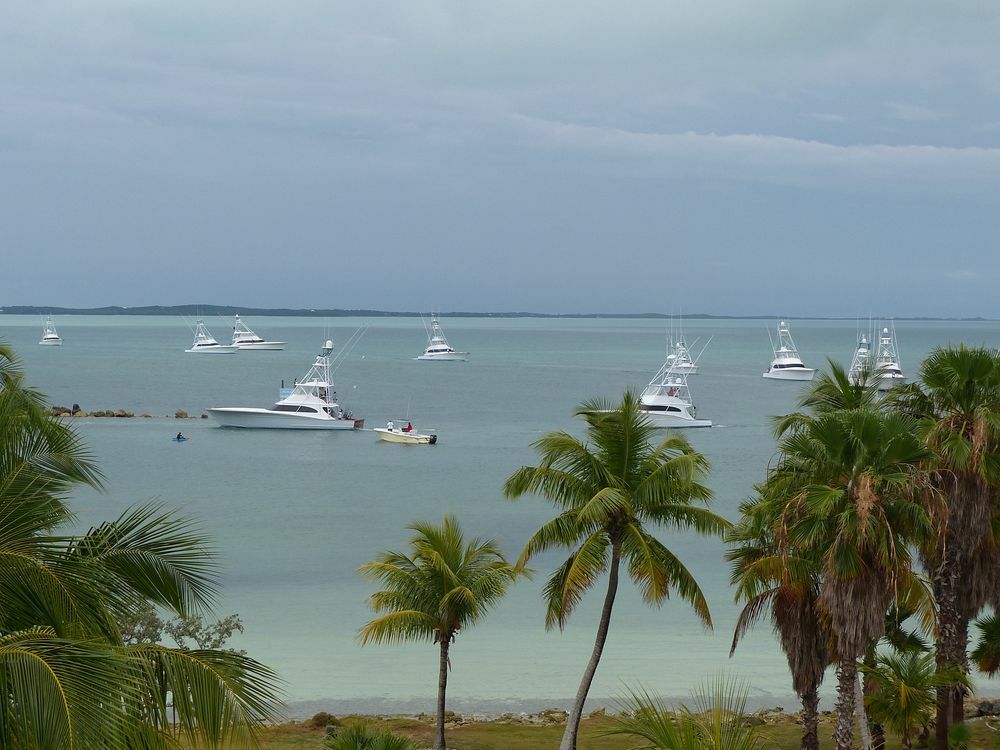 Click to See Next Image