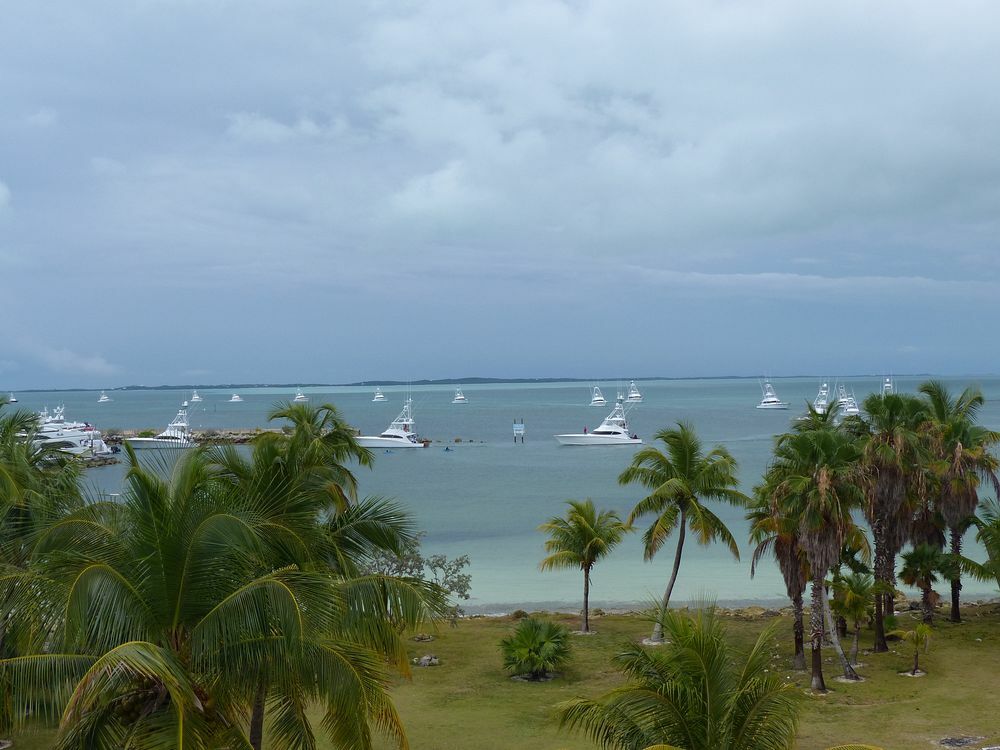 Click to See Next Image