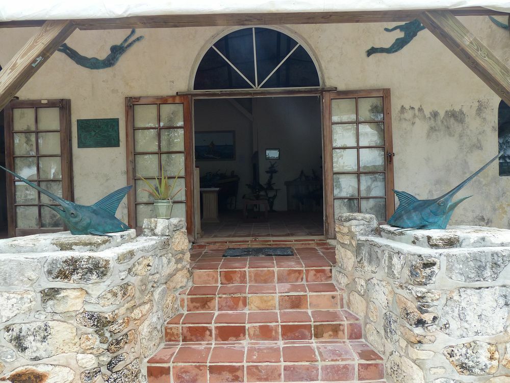 Click to See Next Image