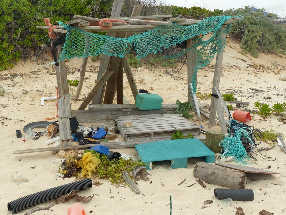 Click to See Next Image