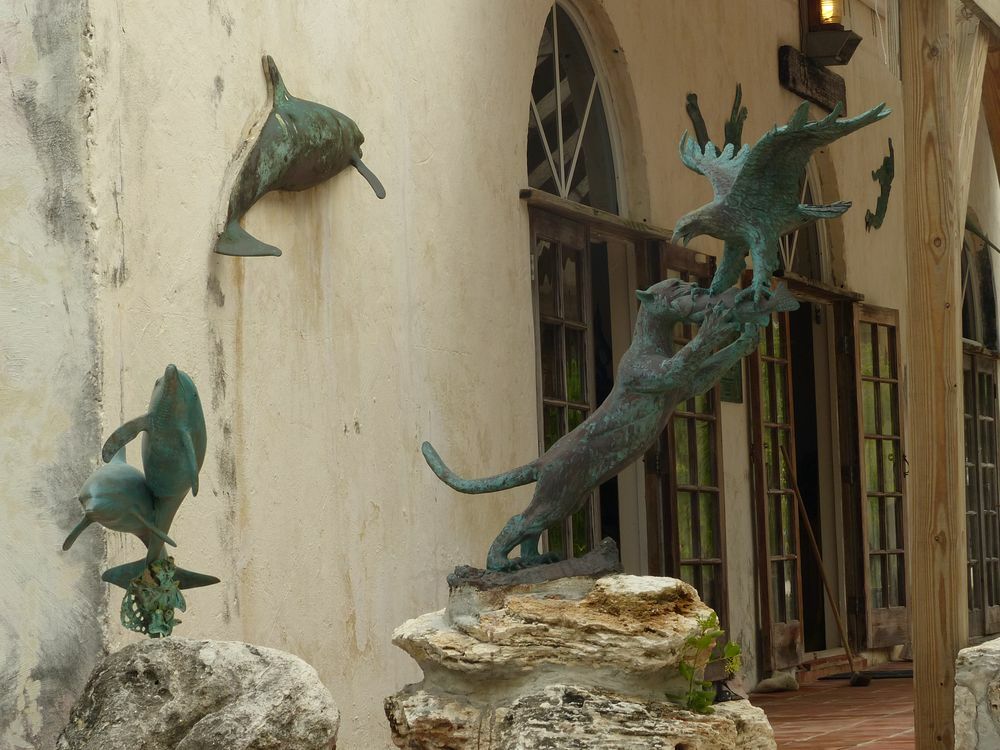 Click to See Next Image