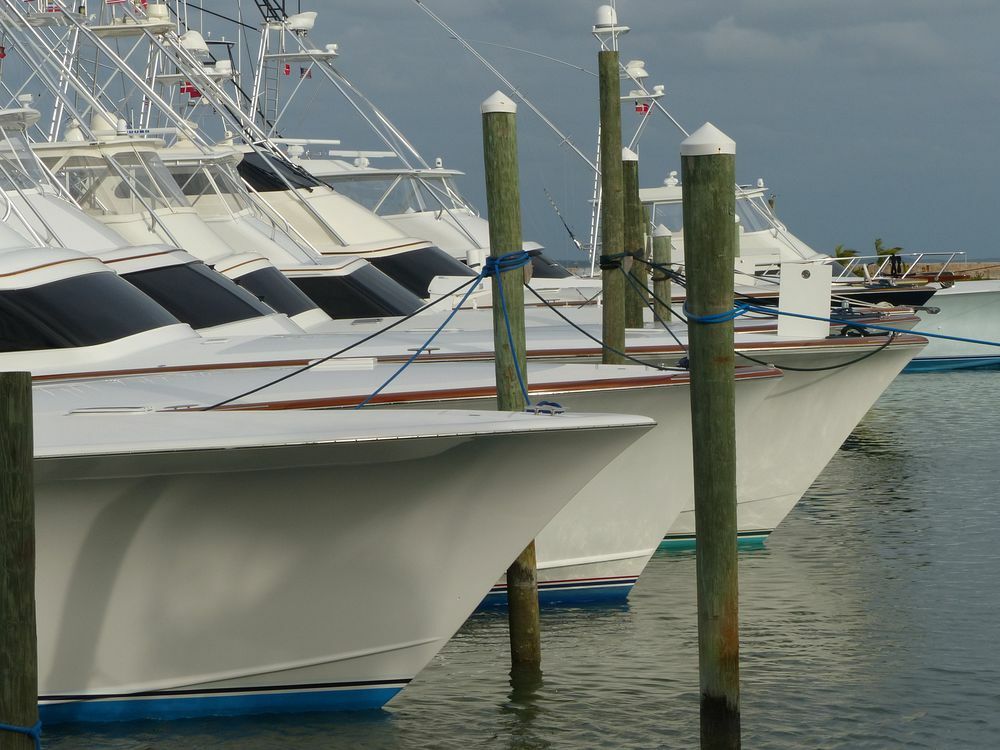 Click to See Next Image