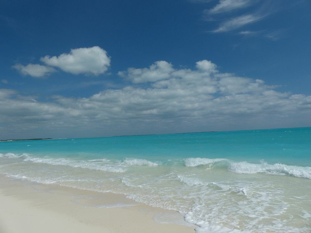 Click to See Next Image