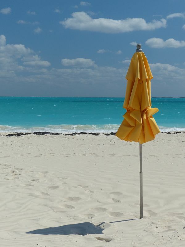 Click to See Next Image