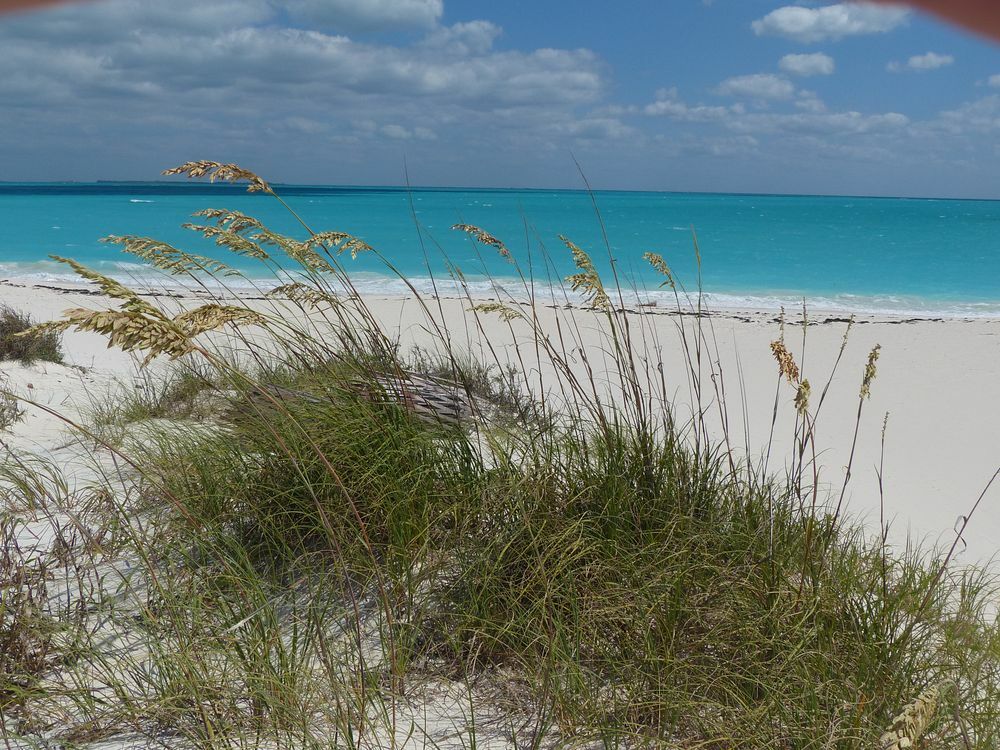 Click to See Next Image