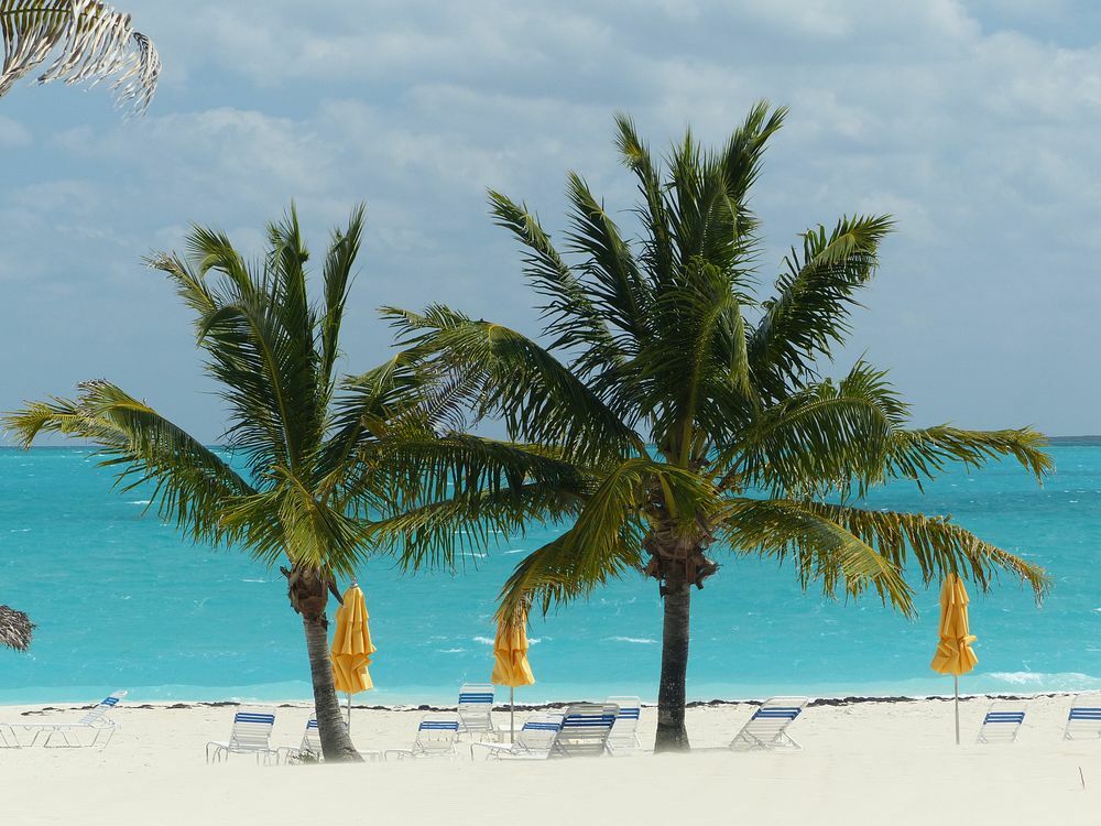 Click to See Next Image