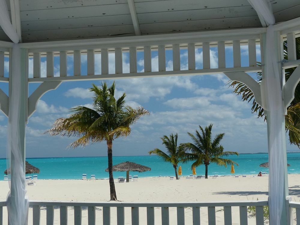 Click to See Next Image