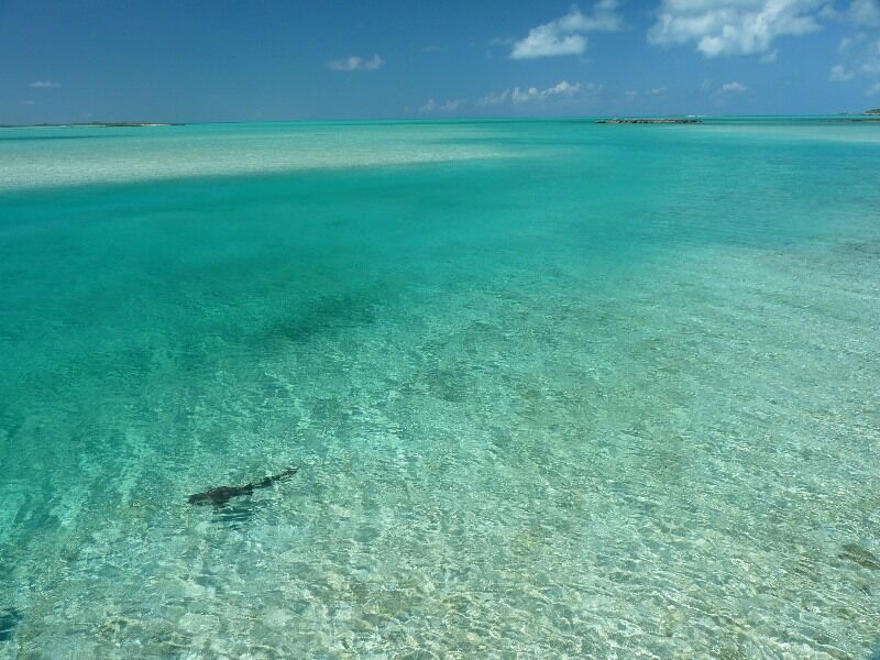 Click to See Next Image