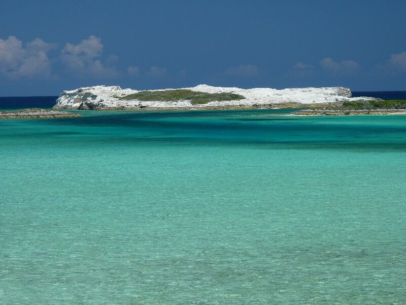 Click to See Next Image