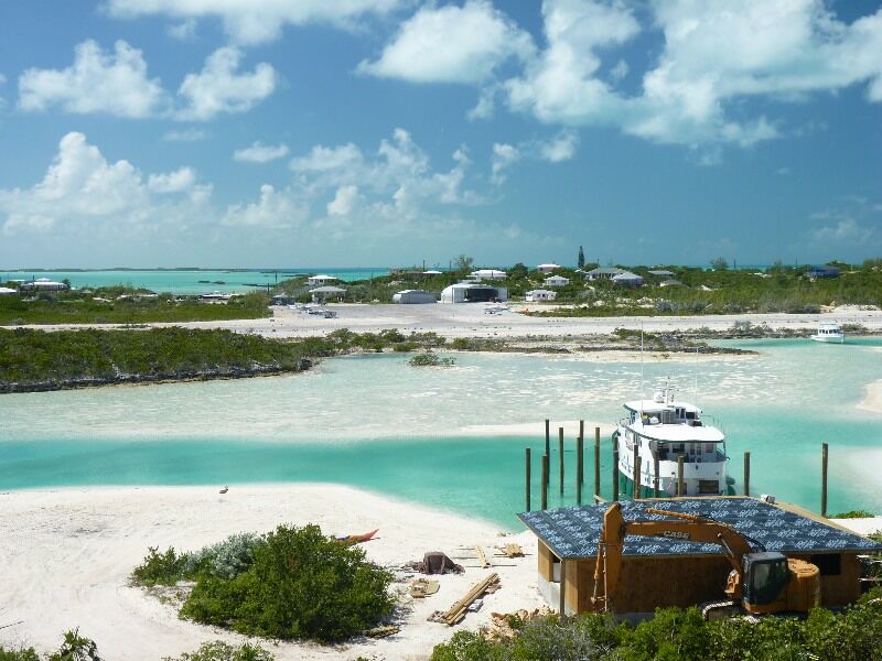 Click to See Next Image