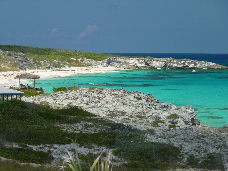 Click to See Next Image