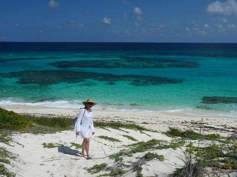 Click to See Next Image