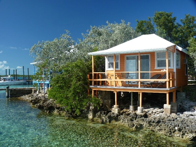 Click to See Next Image