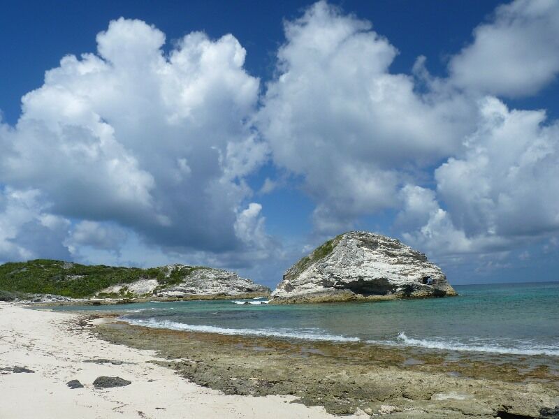 Click to See Next Image