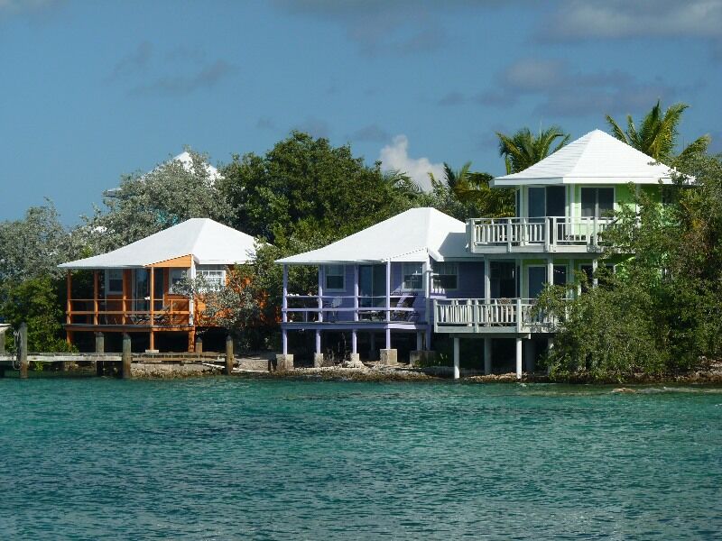 Click to See Next Image