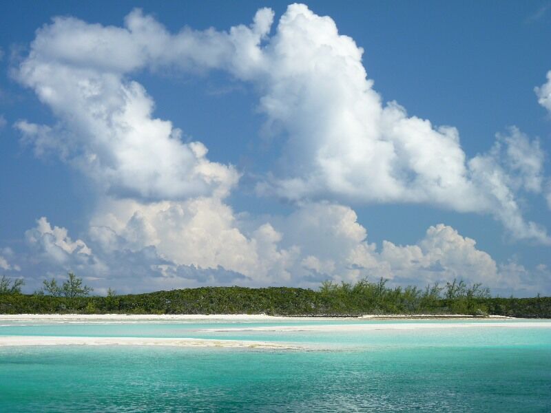 Click to See Next Image