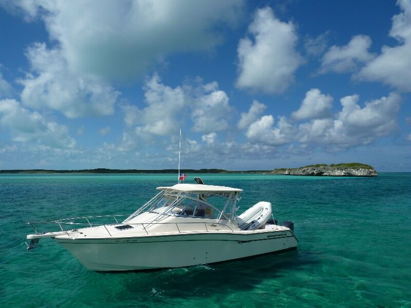 Click to See Next Image