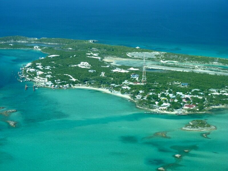 Click to See Next Image