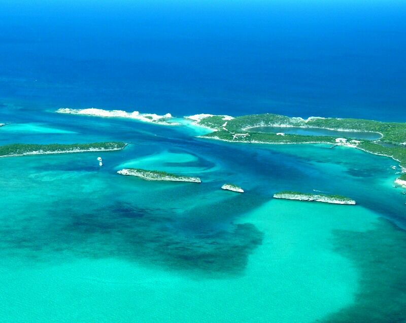 Click to See Next Image