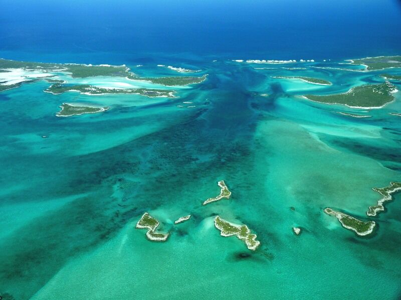 Click to See Next Image