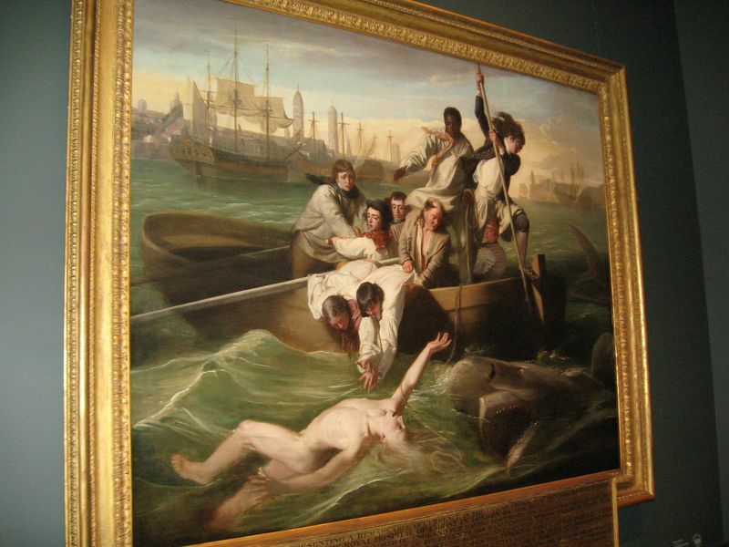 Click to See Next Image