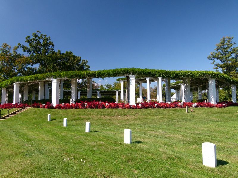 Click to See Next Image