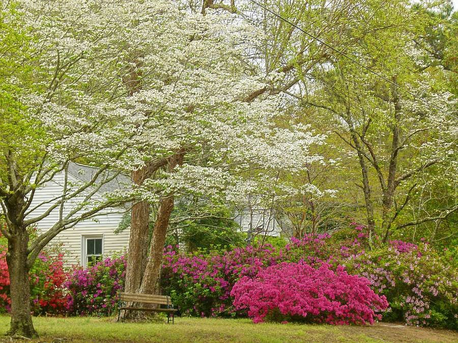 Click to See Next Image